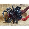 画像4: QUEEN FACE HUGGER ※loose (4)