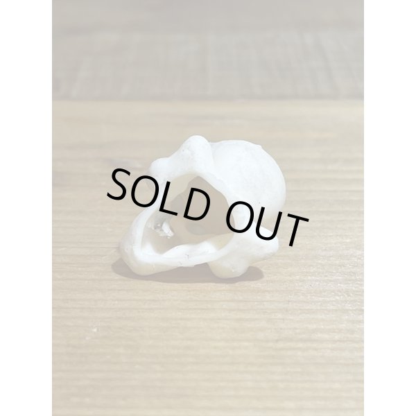 画像3: スカル&バグ ミニソフビ (3)