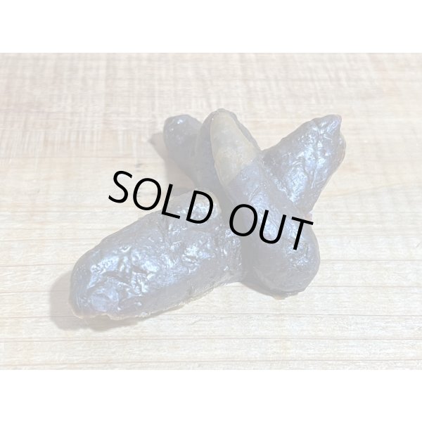 画像2: 箱入 ゴム製 ウン〇【B】 (2)