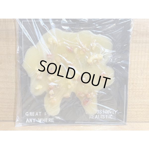 画像3: "OOPS"【A】 (3)