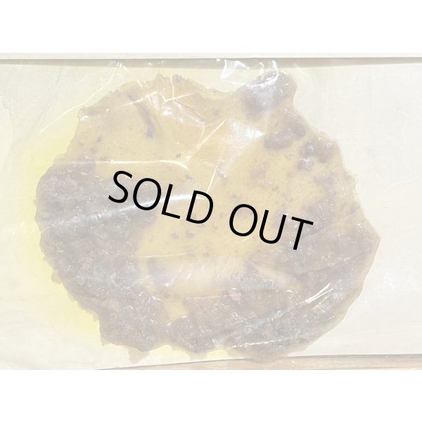 画像4: OTTAMA GERO (4)