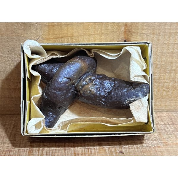 画像4: 箱入 ゴム製 ウン〇【A】 (4)