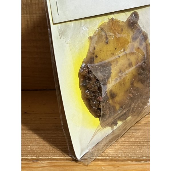 画像5: OTTAMA GERO (5)