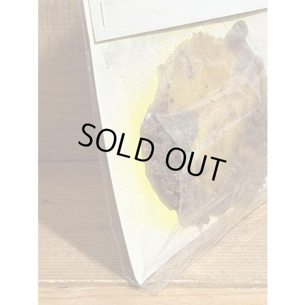 画像5: OTTAMA GERO (5)