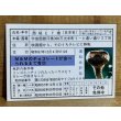 画像2: E.T. 免許証【B】 (2)