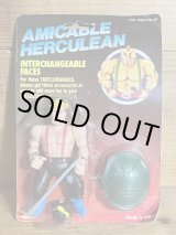 画像: AMICABLE HERCULEAN