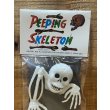 画像2: PEEPING SKELETON (2)