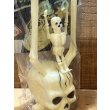画像7: HALLOWEEN SWINGERS SKULL (7)