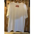 画像6: THE EVIL DRODD Tシャツ (6)