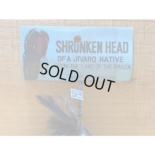 画像7: SHRUNKEN HEAD【E】 (7)