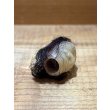 画像2: SHRUNKEN HEAD ミニソフビ【C】 (2)