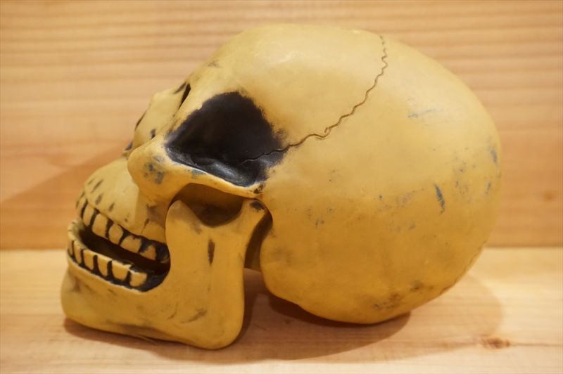 画像: 不明 ソフビ製 SKULL