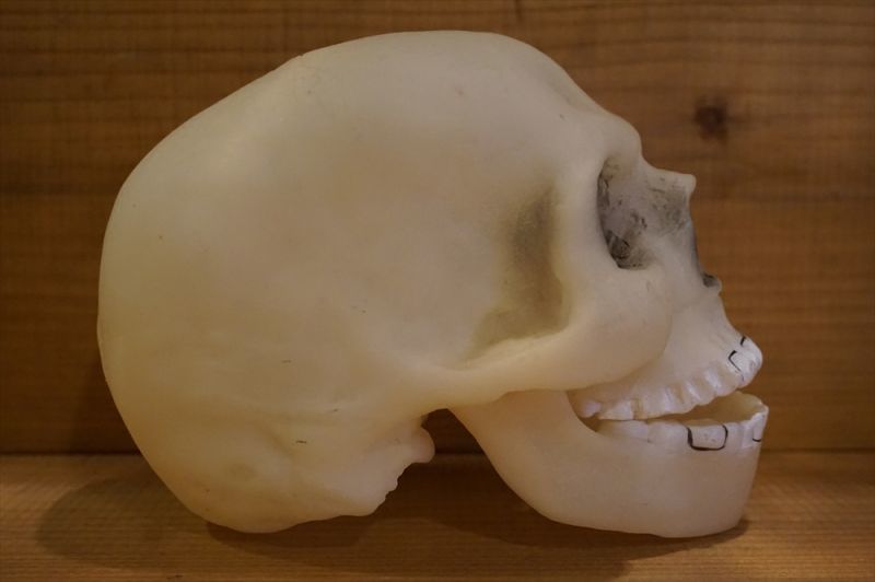 画像: SKULL ソフビヘッド