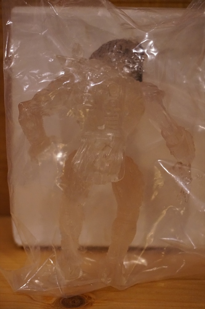 画像: INVISIBLE PREDATOR ※mail offer ltd