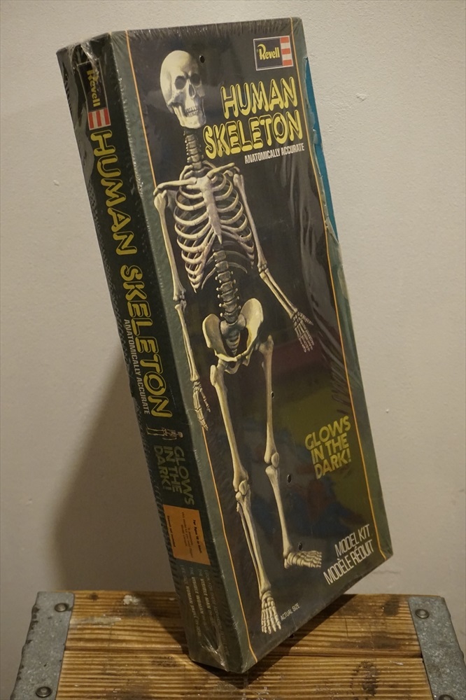 画像: Revell HUMAN SKELETON【A】