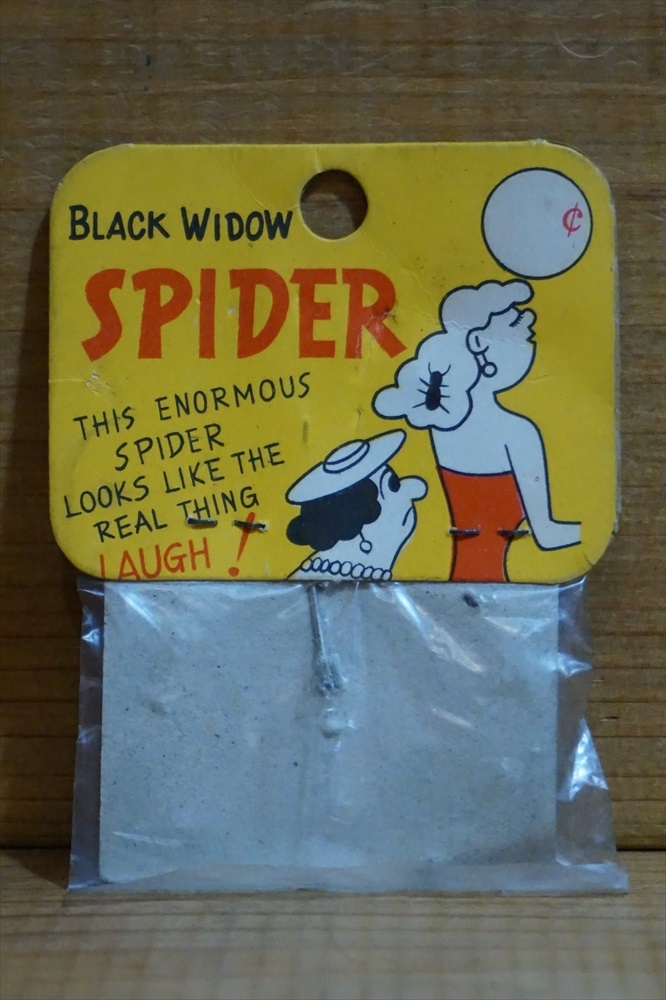 画像: BLACK WIDOW SPIDER