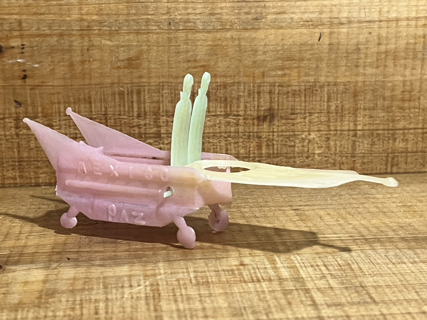 画像: Two Skull チープトイ【E】