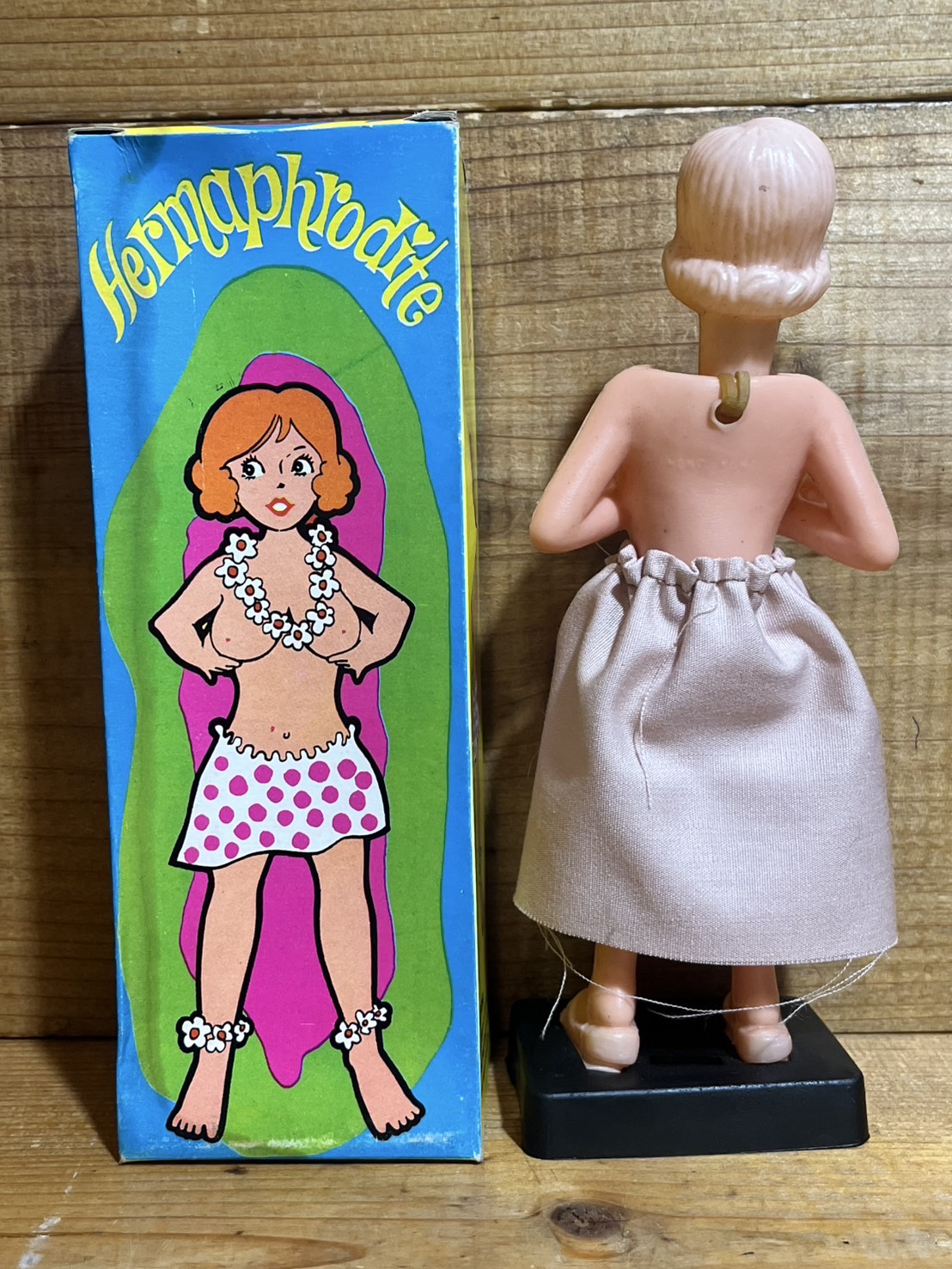 画像: Hermaphrodite【F】