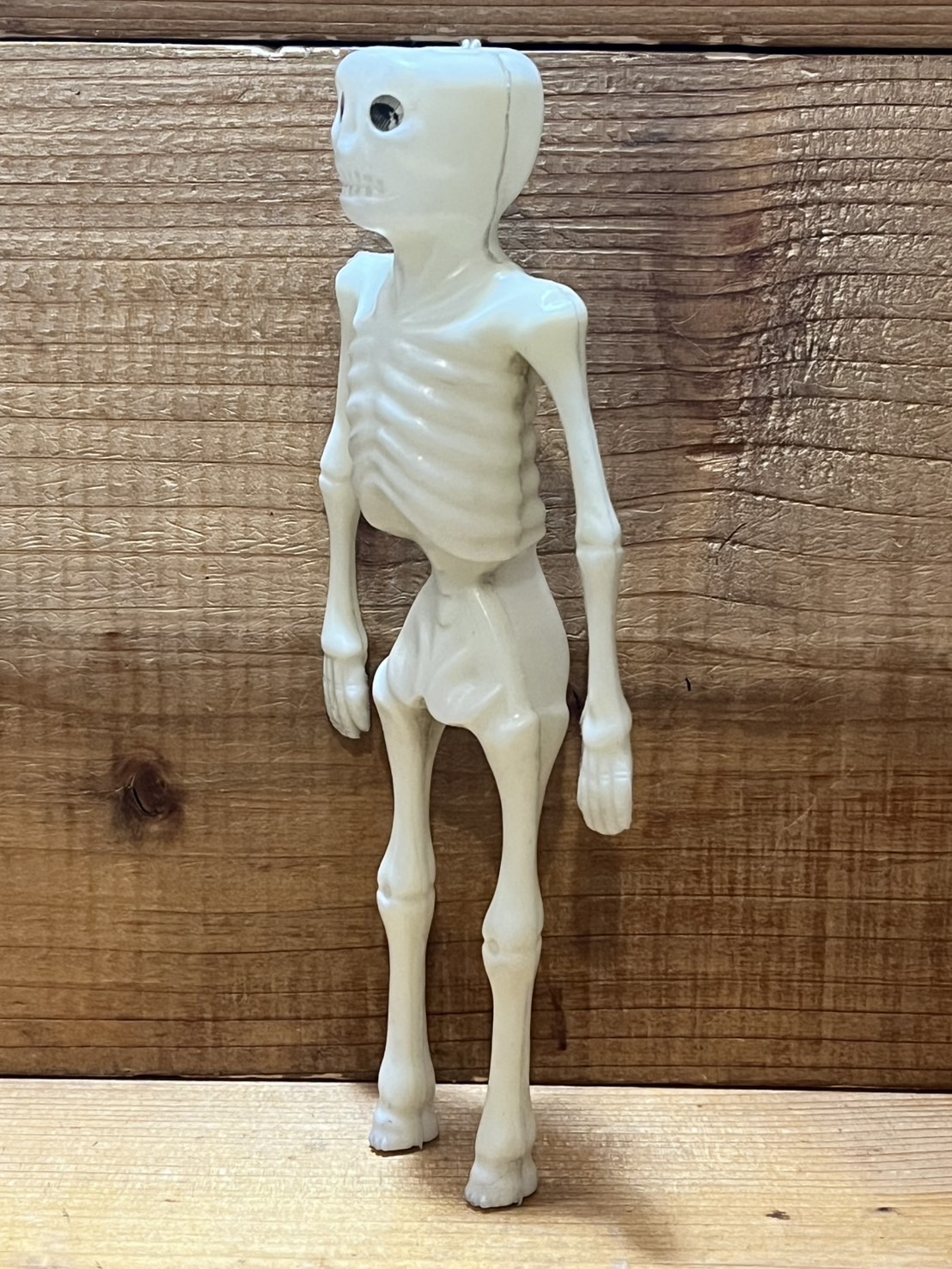 画像: Skull チープトイ【A2】