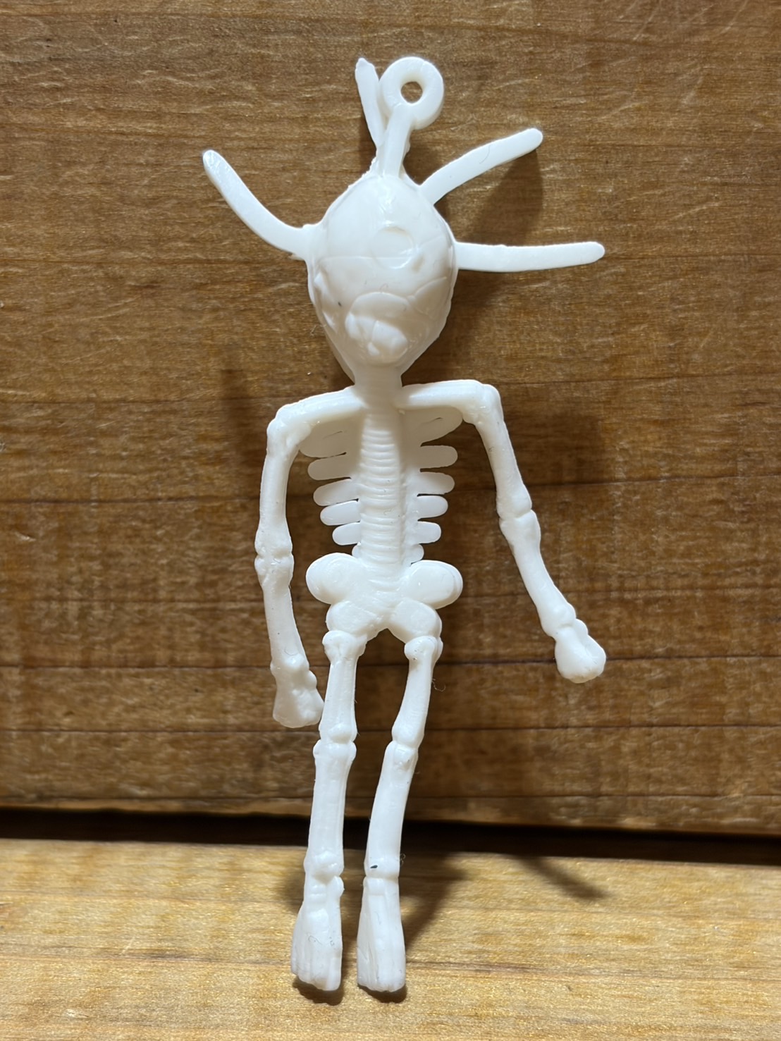 画像: ホネホネ ゴム人形【C】