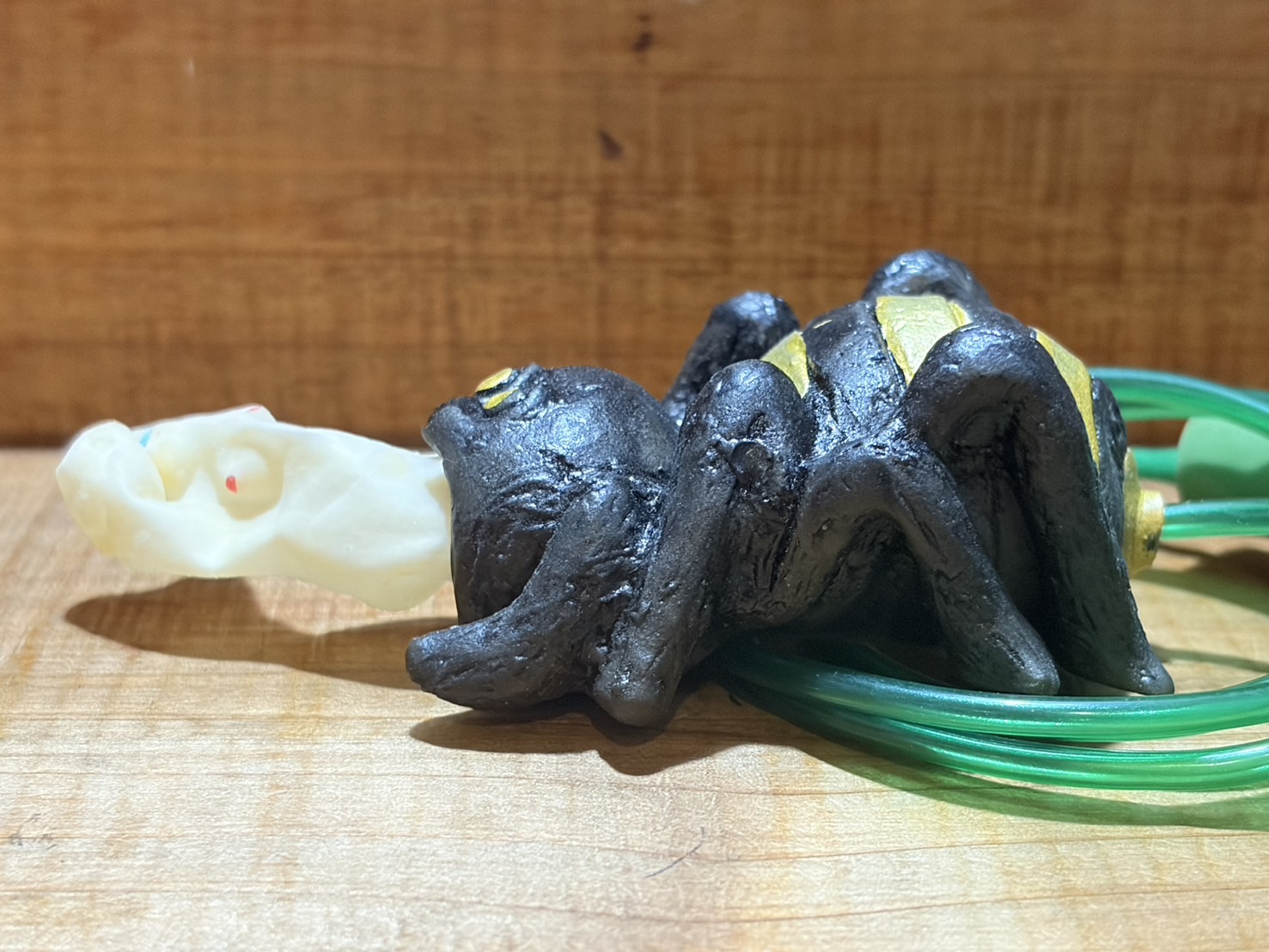 画像: クモのヌード出し【E】