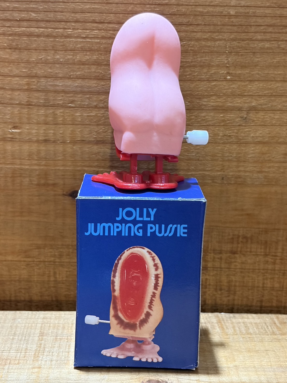 画像: JOLLY JUMPING PUSSIE【C】